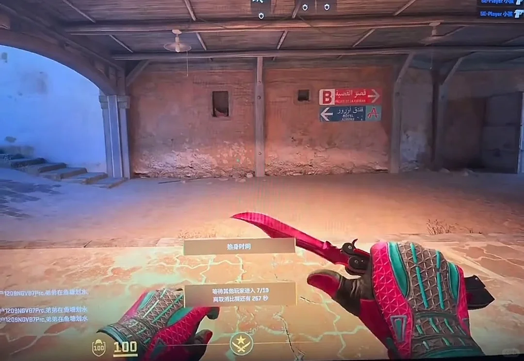 csgo女玩家的颜值