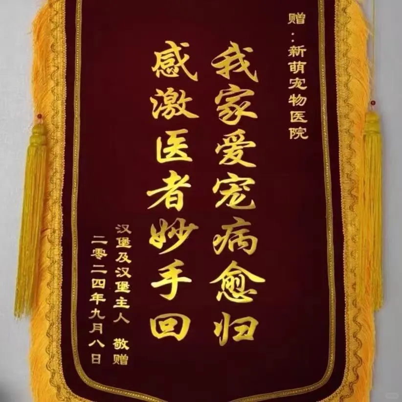 🏆家人们！ 锦旗神价！冲就完事！ 🏆