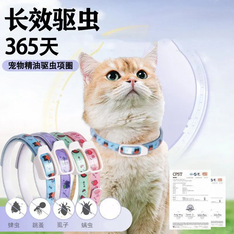 这脖圈简直是行走的驱虫结界