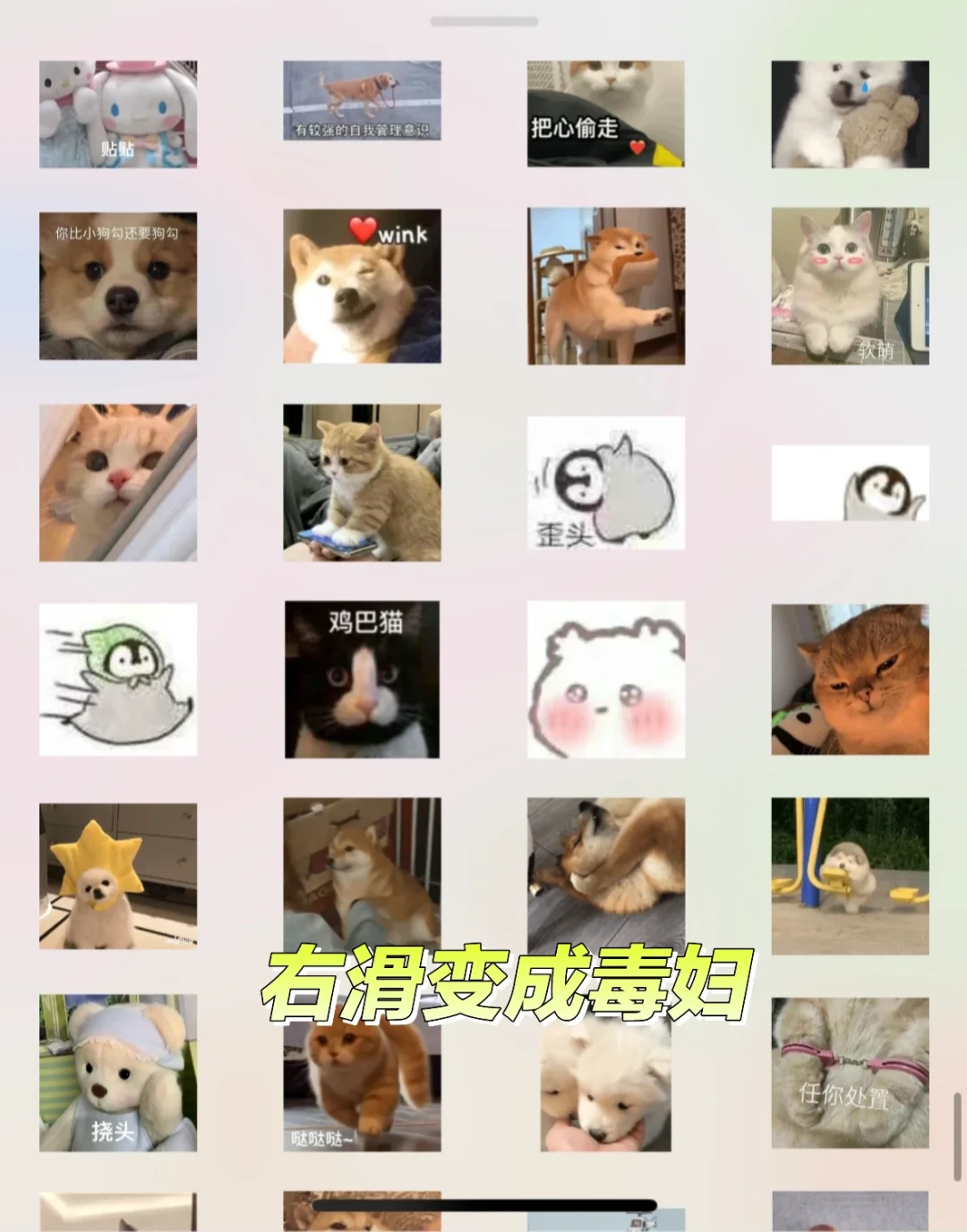 工作以后常用的表情包都变了…..