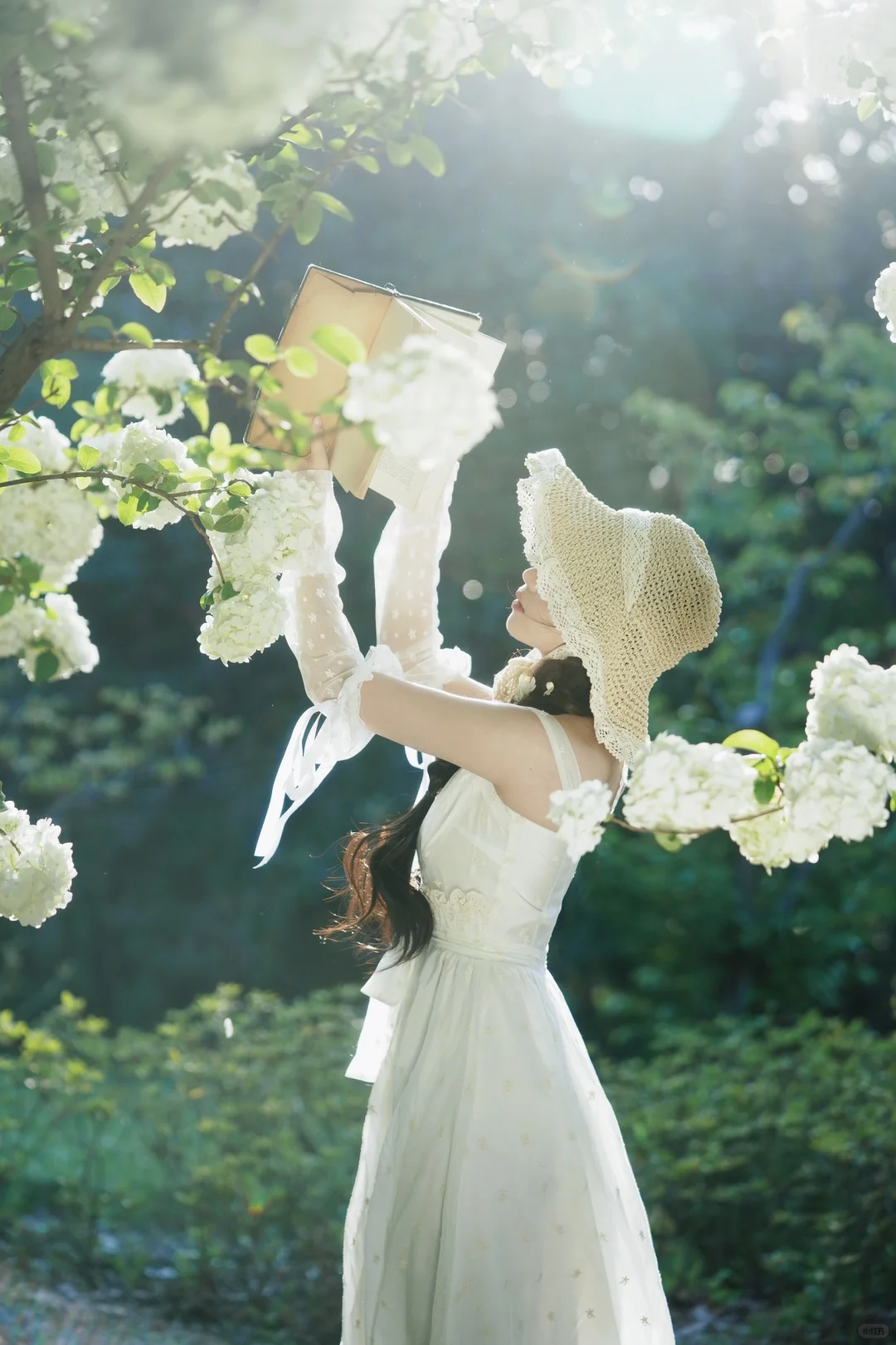 Deja Le Printemps🍃