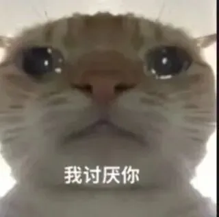 抽象小猫表情包