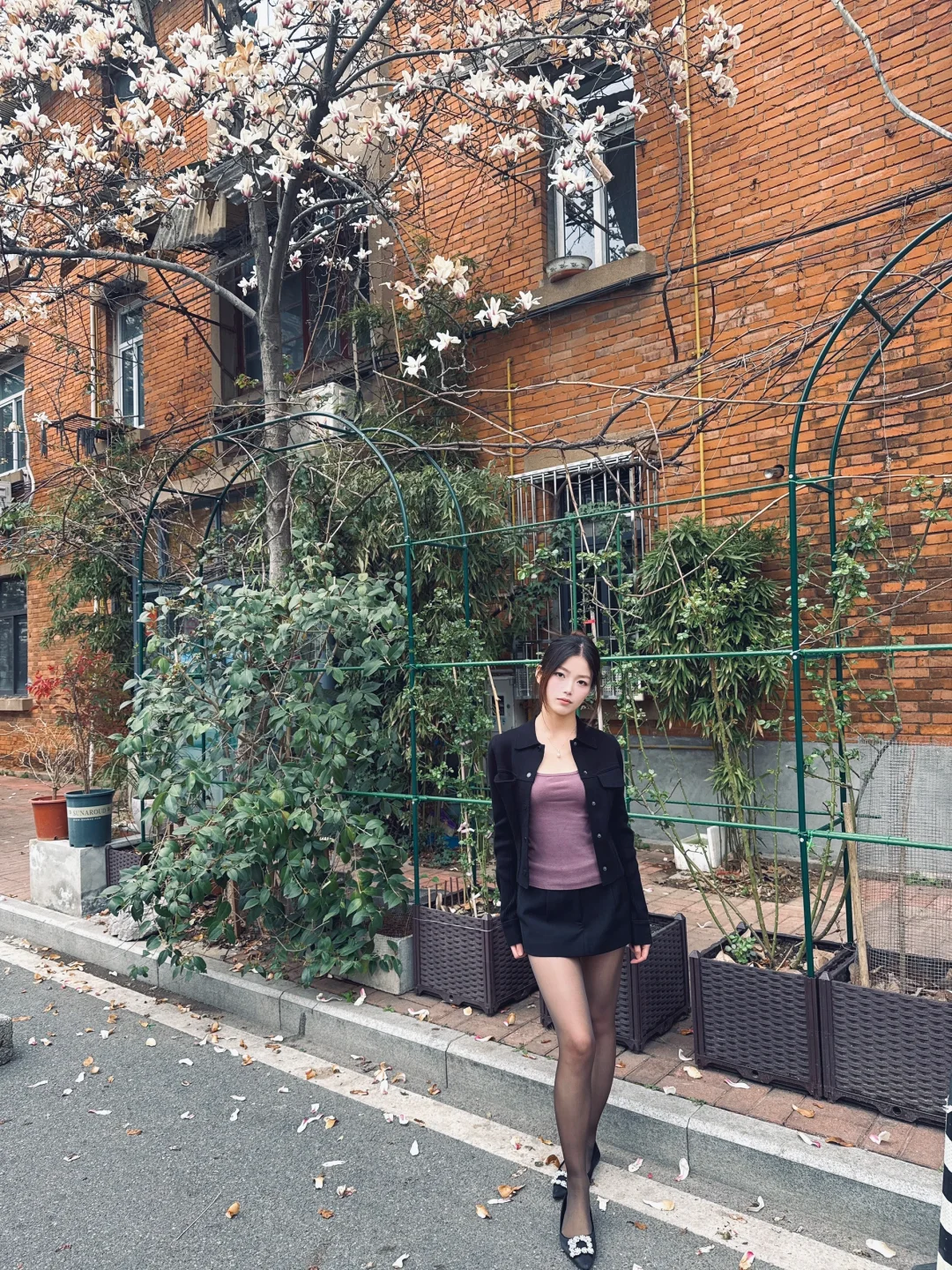 温柔如玉兰花盛开