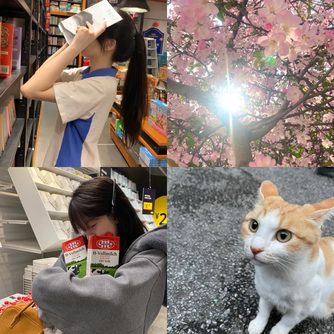 Active女頭 I 青春