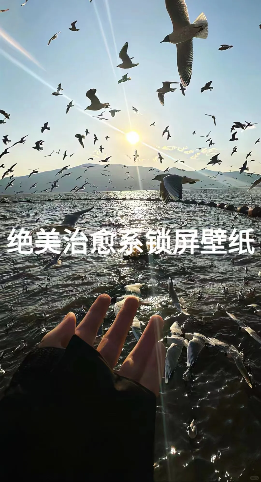 夏日绝美治愈系锁屏壁纸