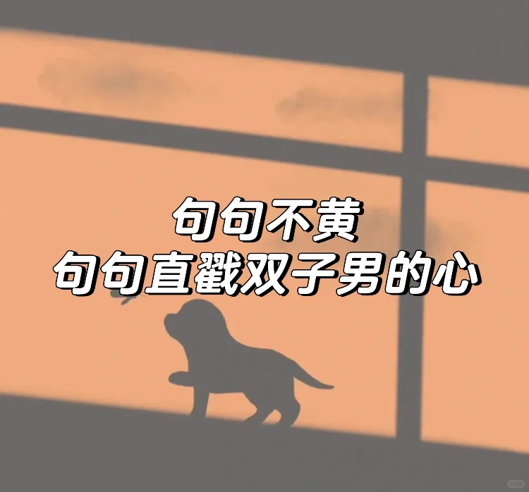 句句撩双子