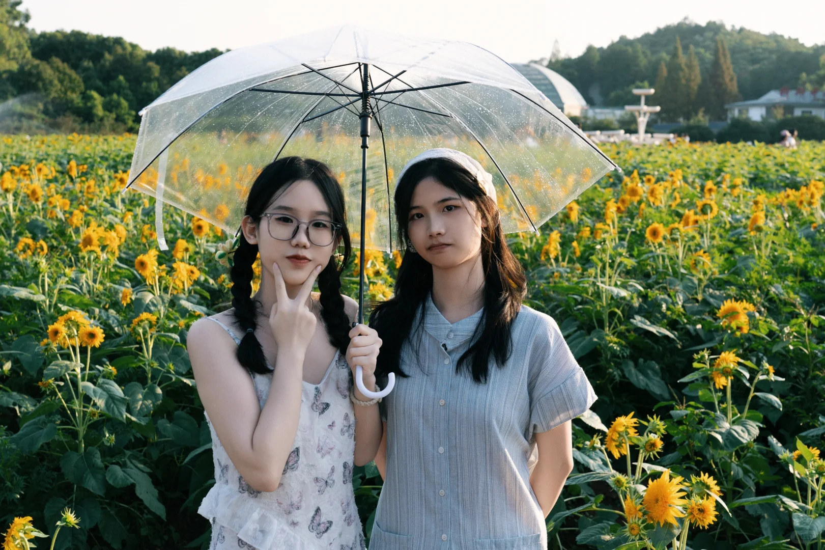 这么可爱漂亮的女孩子到底是谁在拍啊