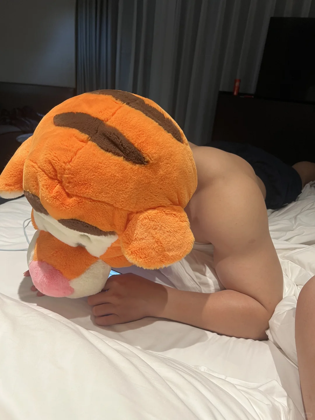 🐰&🐯不扫兴的恋爱