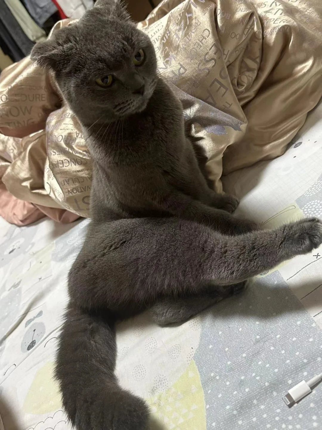 妖娆的女孩子