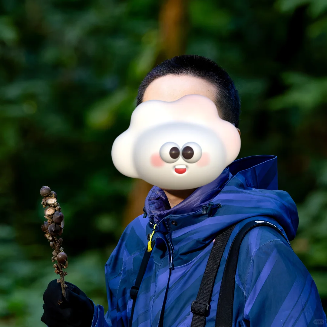 总结一下这两年成为自然女做的一些事情吧