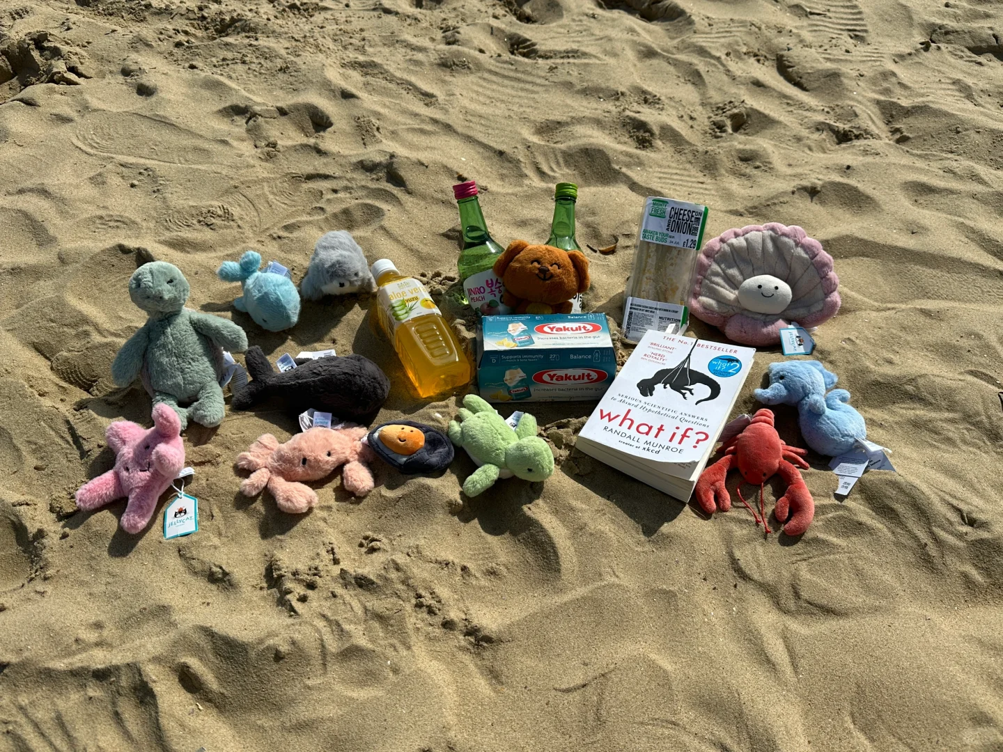 Lost on the Beach🏖️