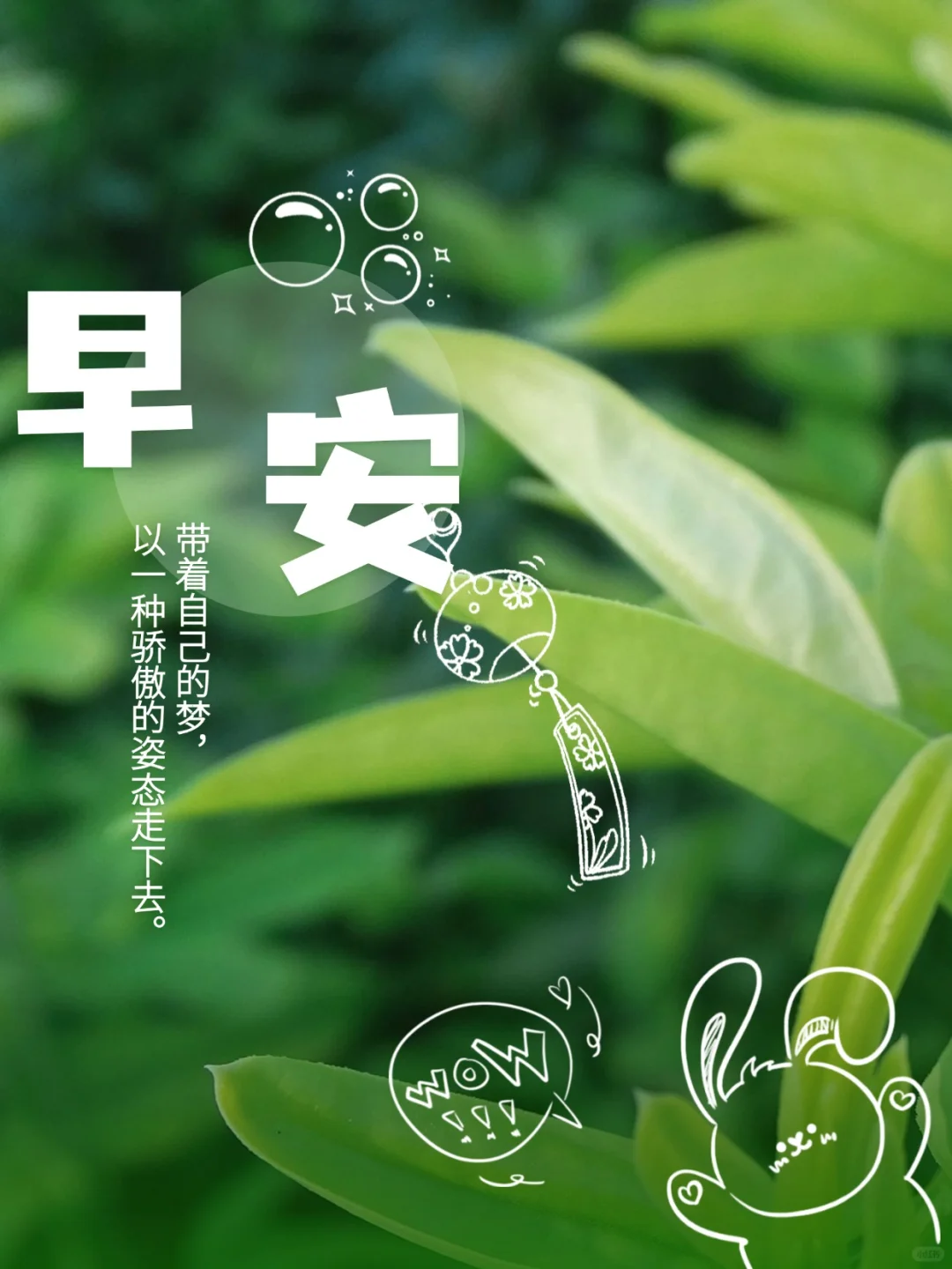 早安心语 送你一份阳光，温暖一整天的心房