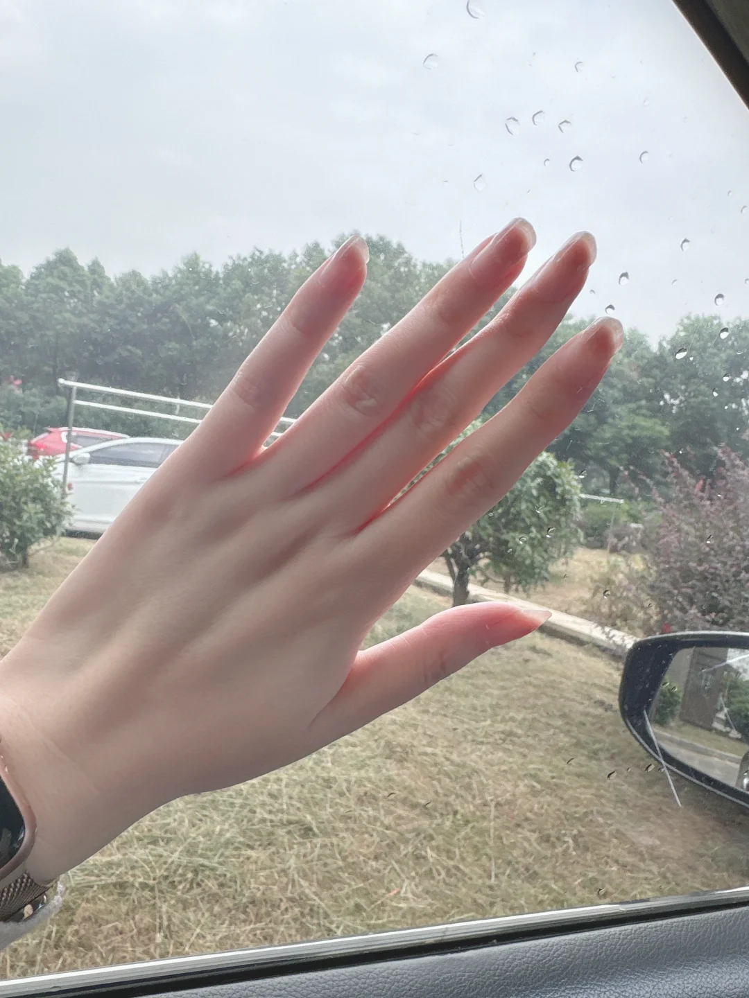 我喜欢我的手