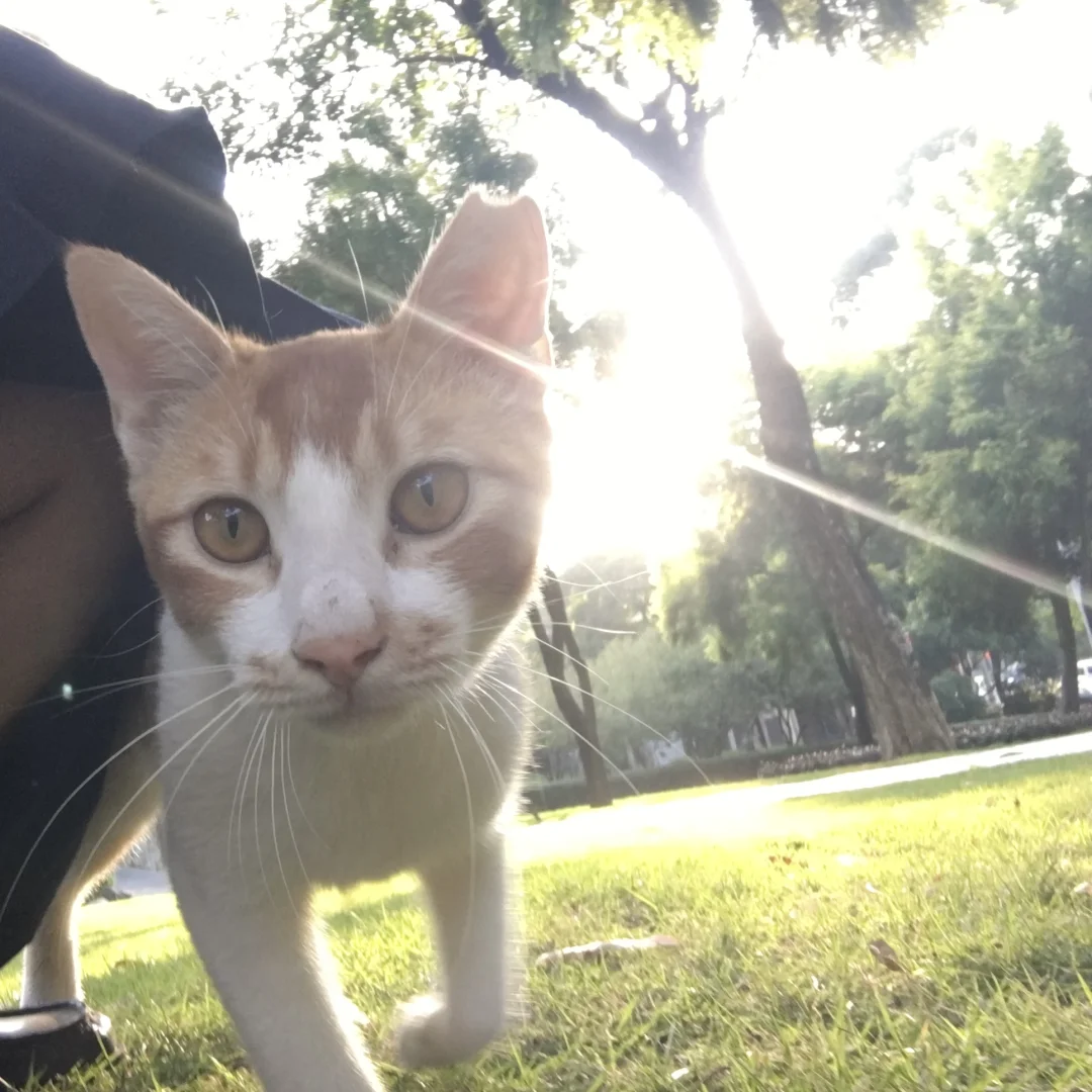我是自己最好的摄影师