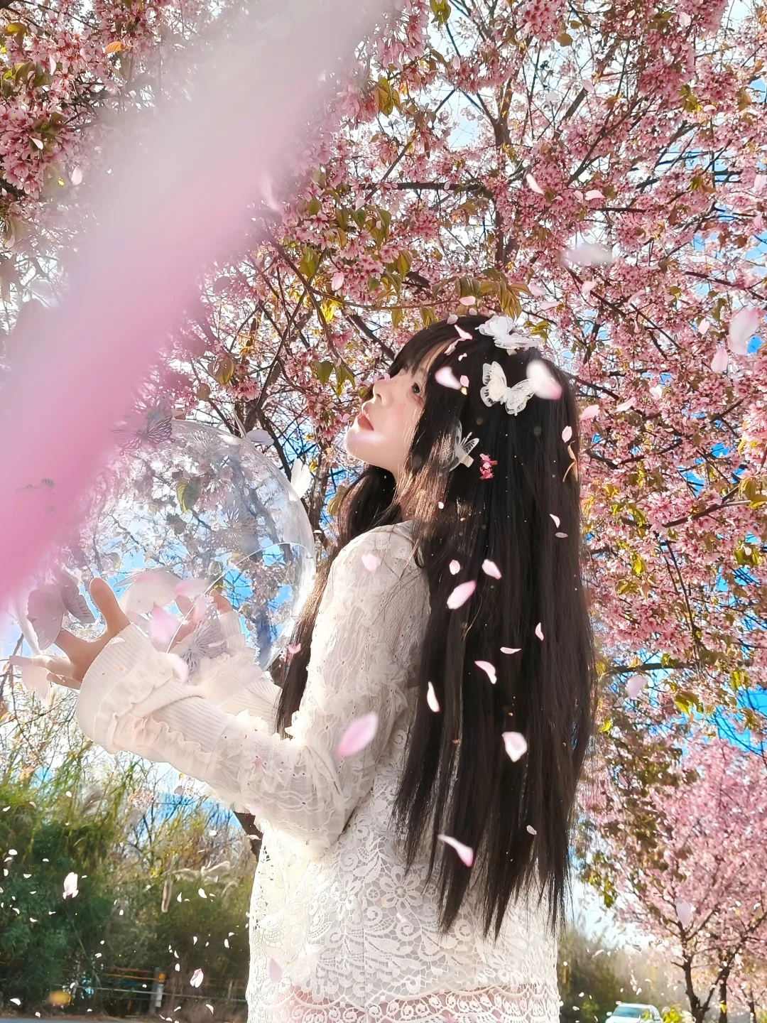 春天没有方向 春天只顾开花