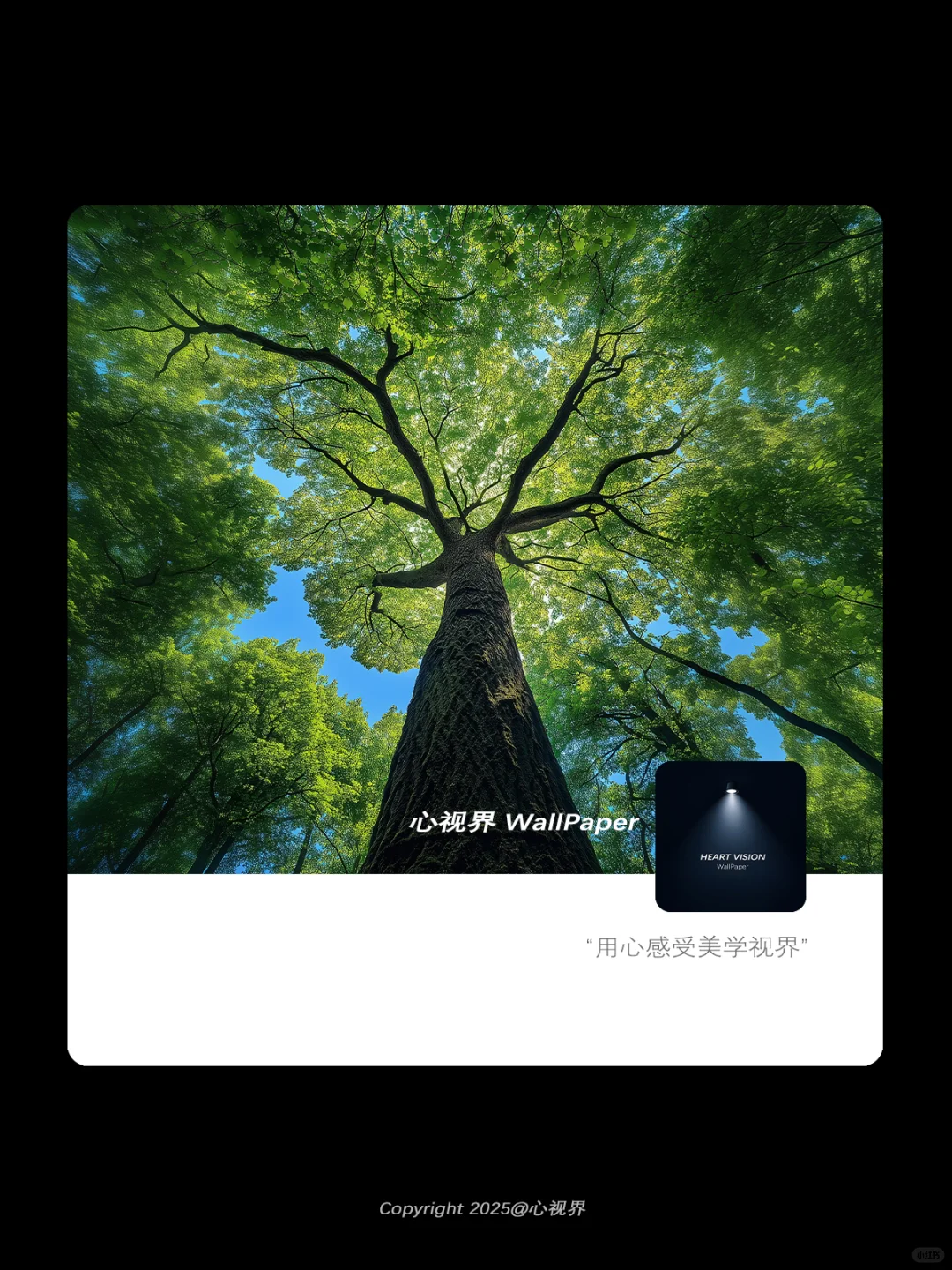 “向着天空，强劲生长” | 079壁纸