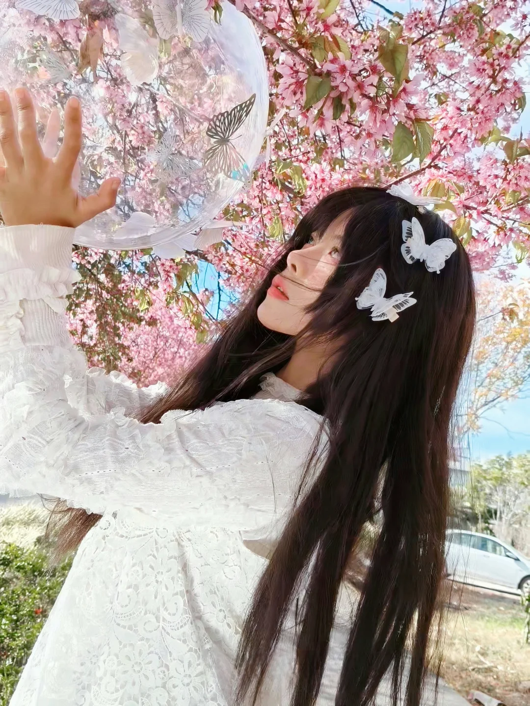 春天没有方向 春天只顾开花