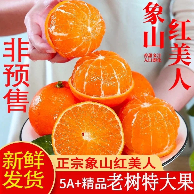 一口爆汁！这颗柑橘界“爱马仕”我能炫十斤