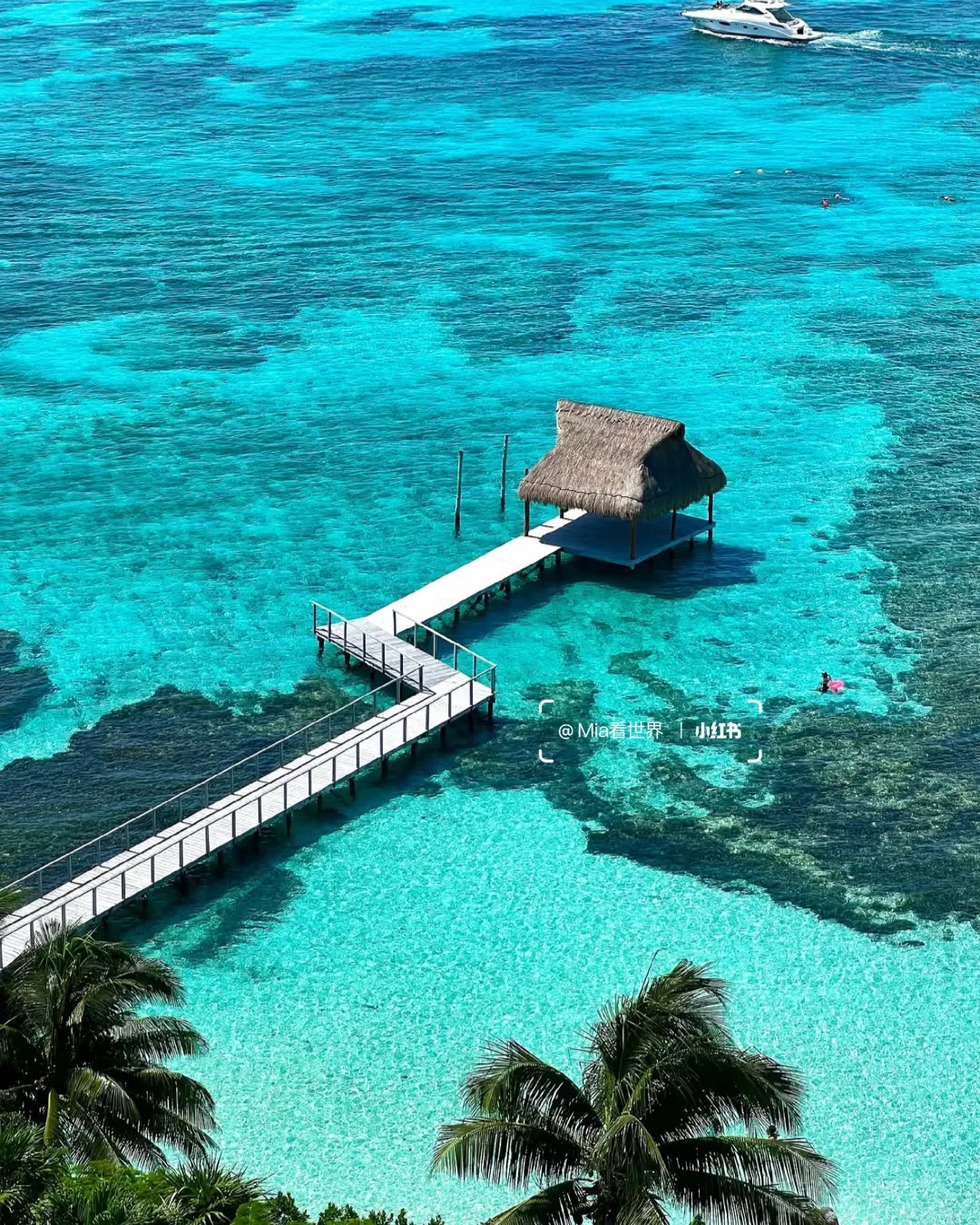 Impression Isla Mujeres | 戒断反应太严重
