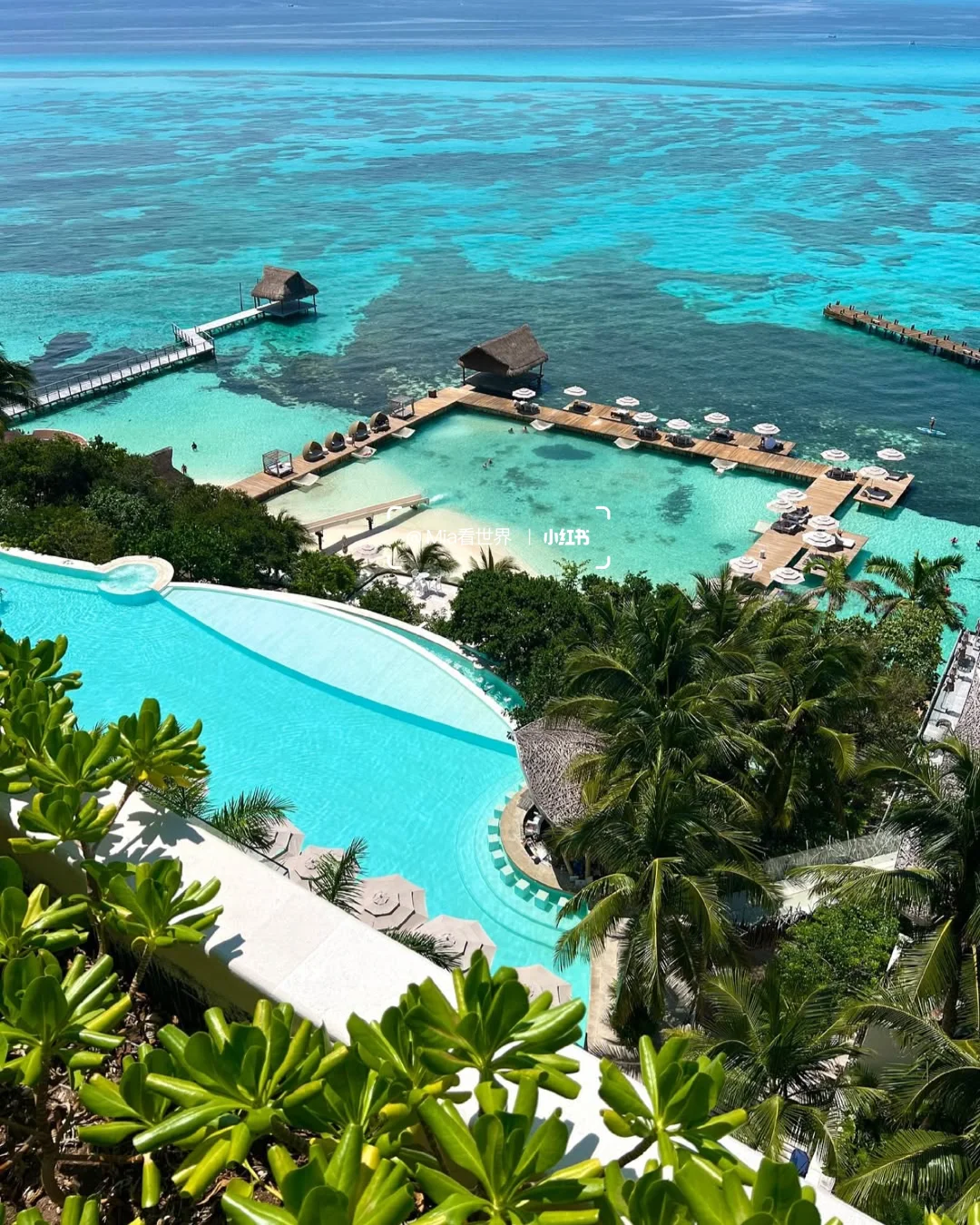 Impression Isla Mujeres | 戒断反应太严重