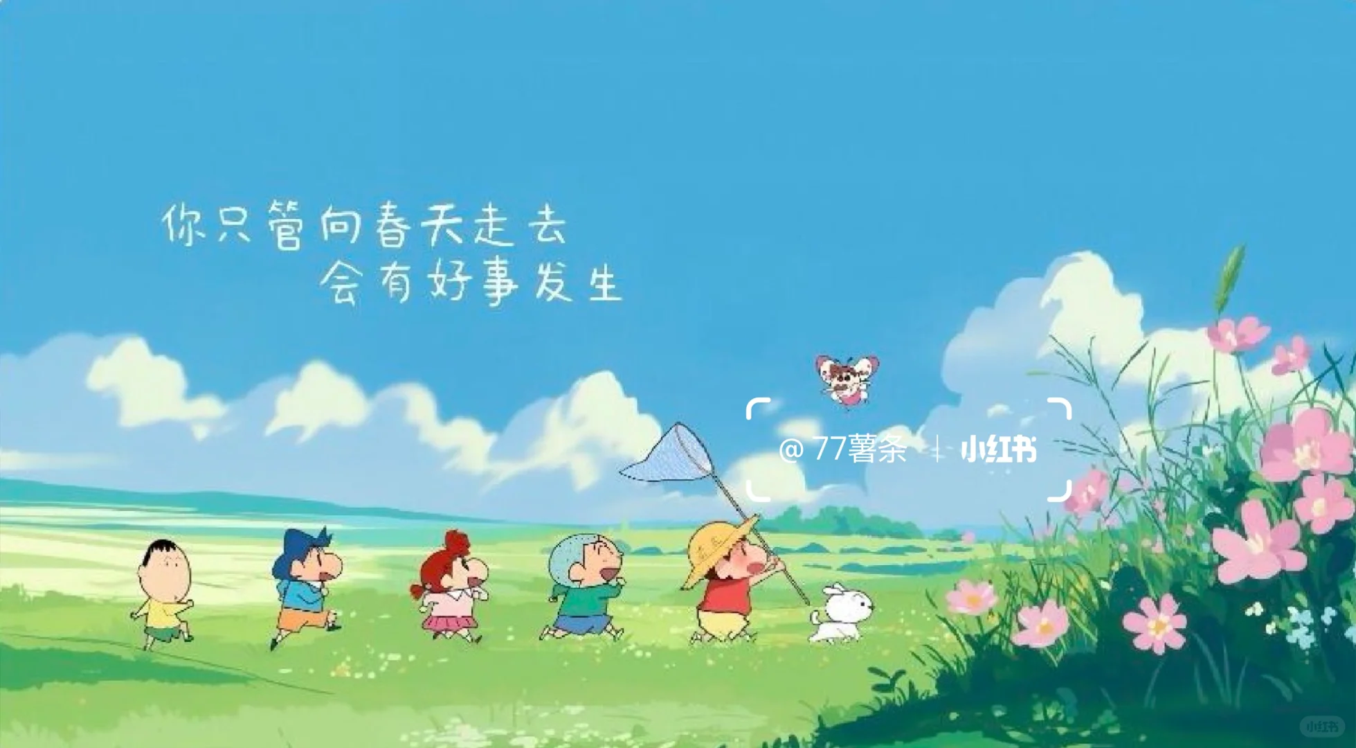 电脑分区壁纸