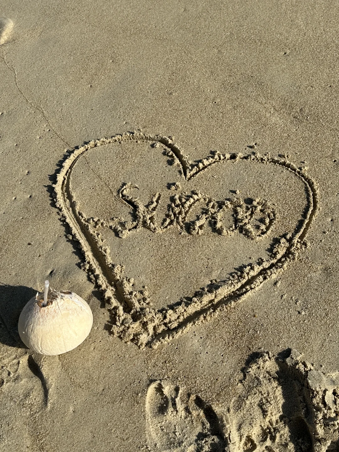 🐚Seaside🫧