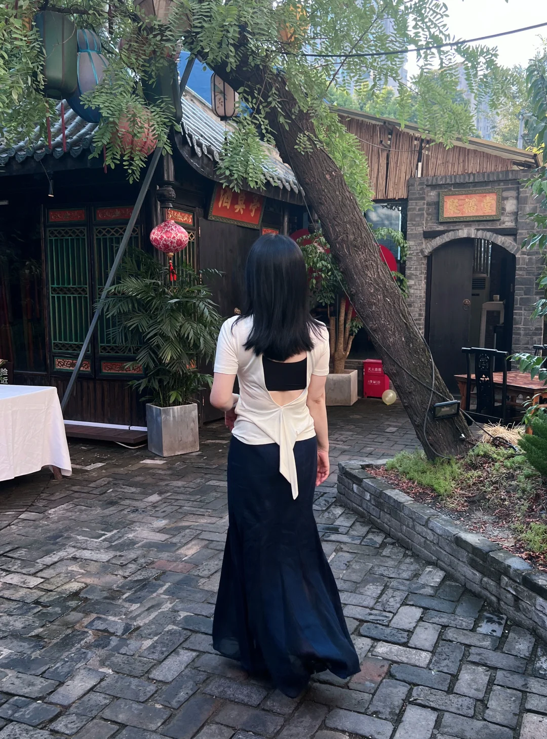 玫瑰只专注于自己，所以她很迷人📷