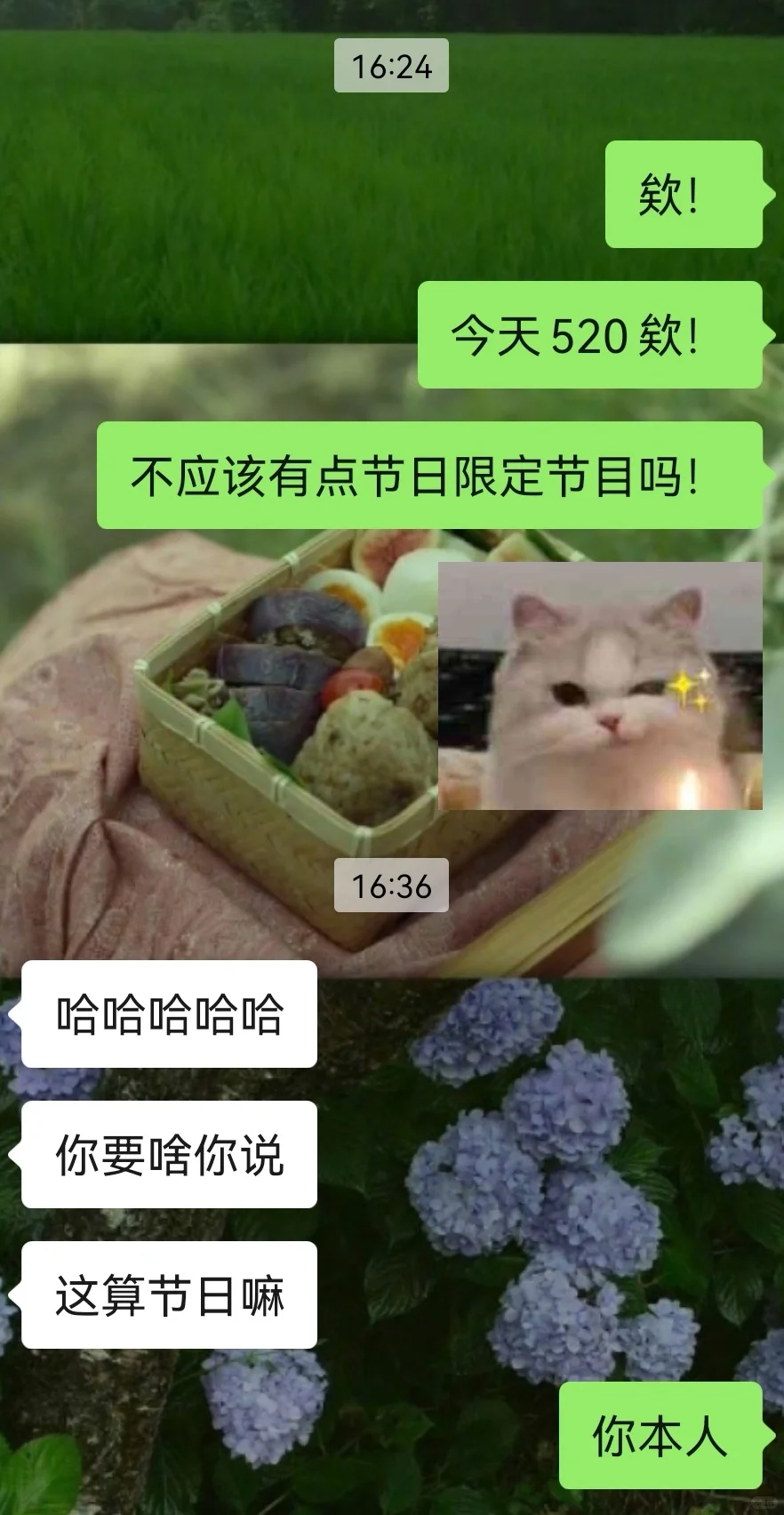 新的一天新的撩骚