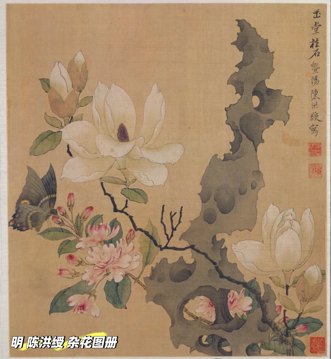 唐朝的玉兰,你可曾见过