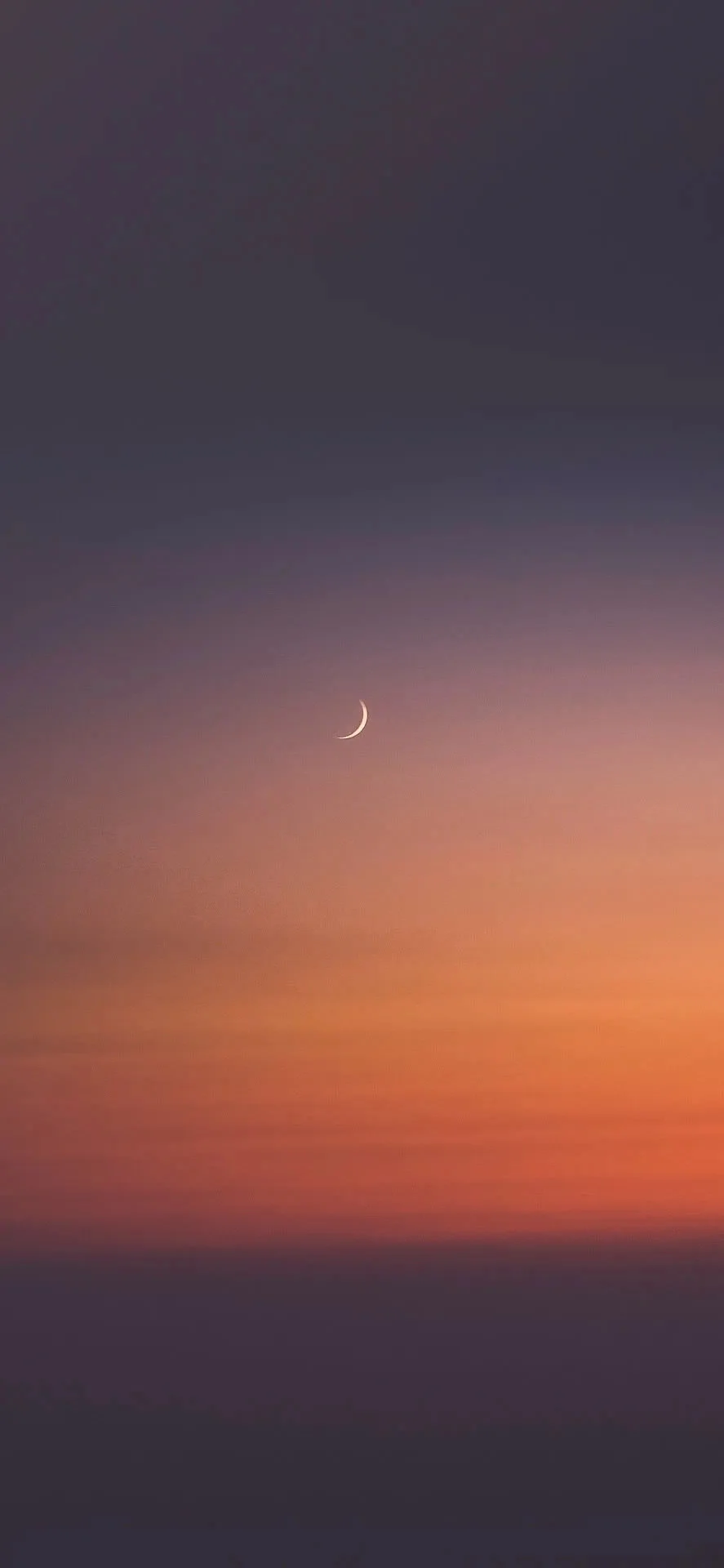 私藏壁纸 | 邂逅橘调浪漫