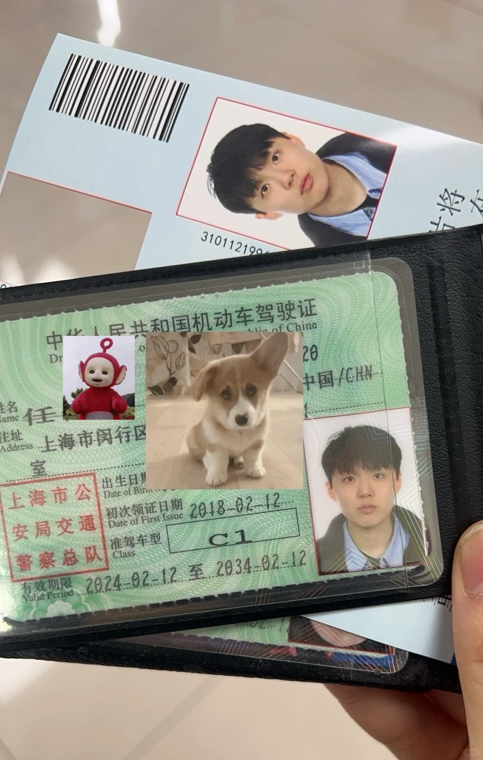 LE车管所在逃小t