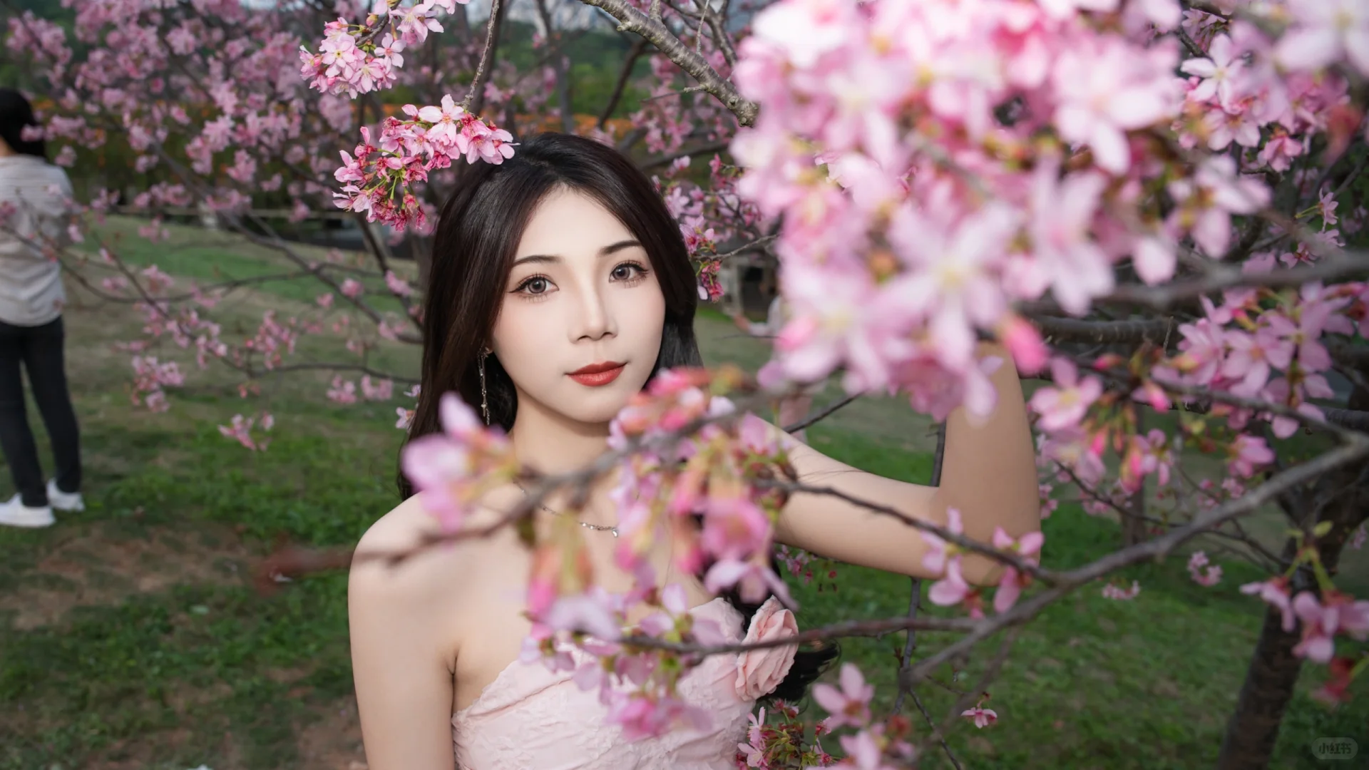 樱花➕御姐