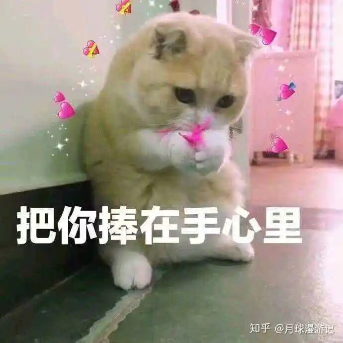 人！ 进来看喵