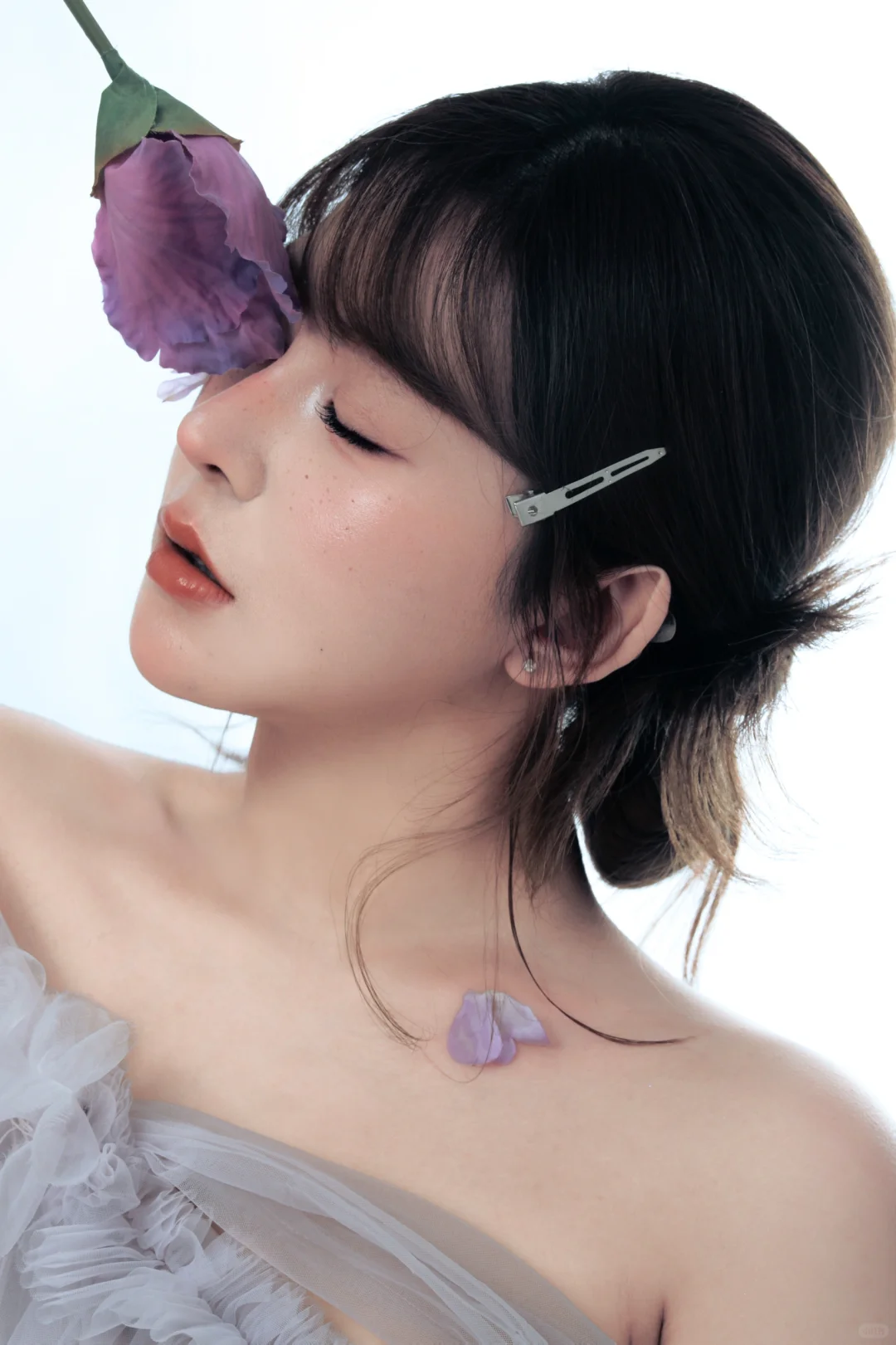 鸢尾花与蝴蝶兰的私语｜福州写真