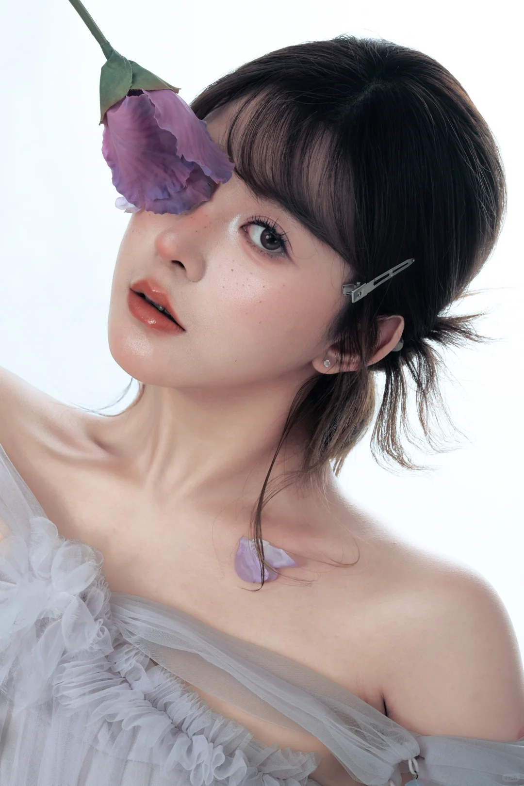 鸢尾花与蝴蝶兰的私语｜福州写真
