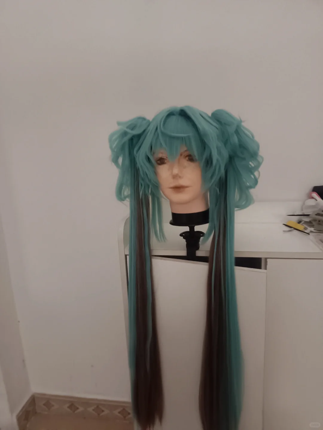 初音未来小浣熊造型