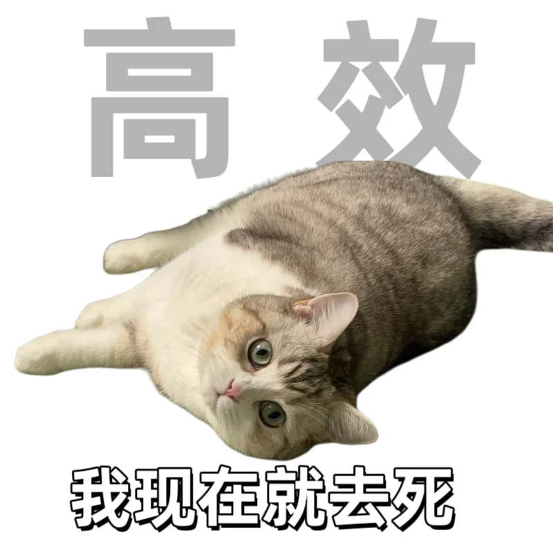 表情包｜打工人的九大美好品德