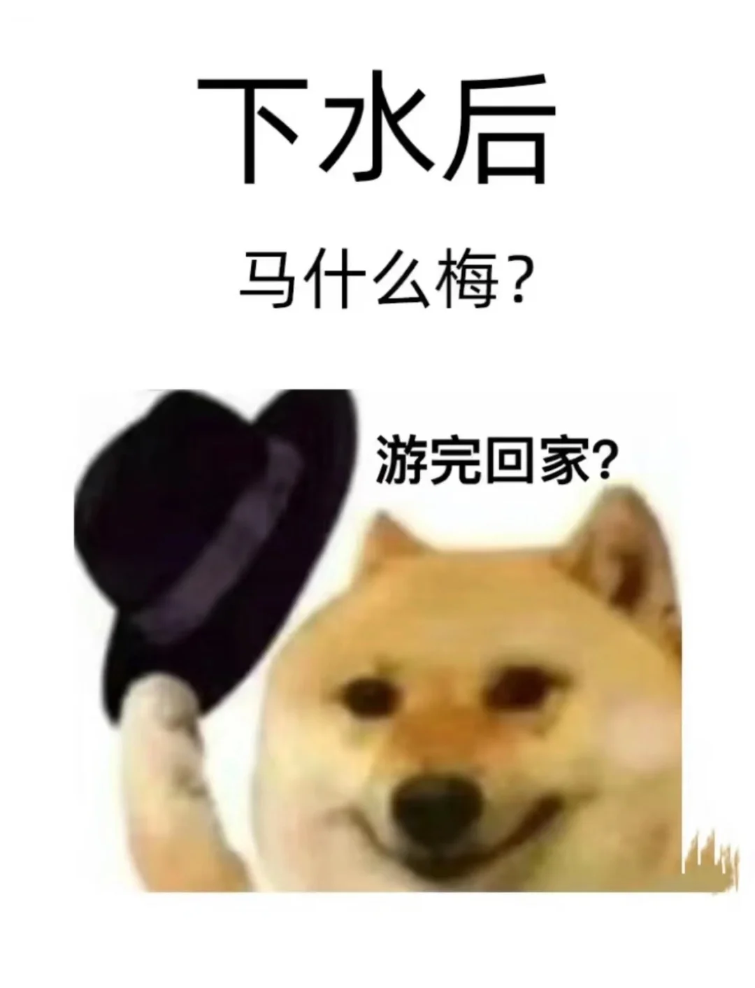 秋冬游泳｜冷并快乐的秘密！