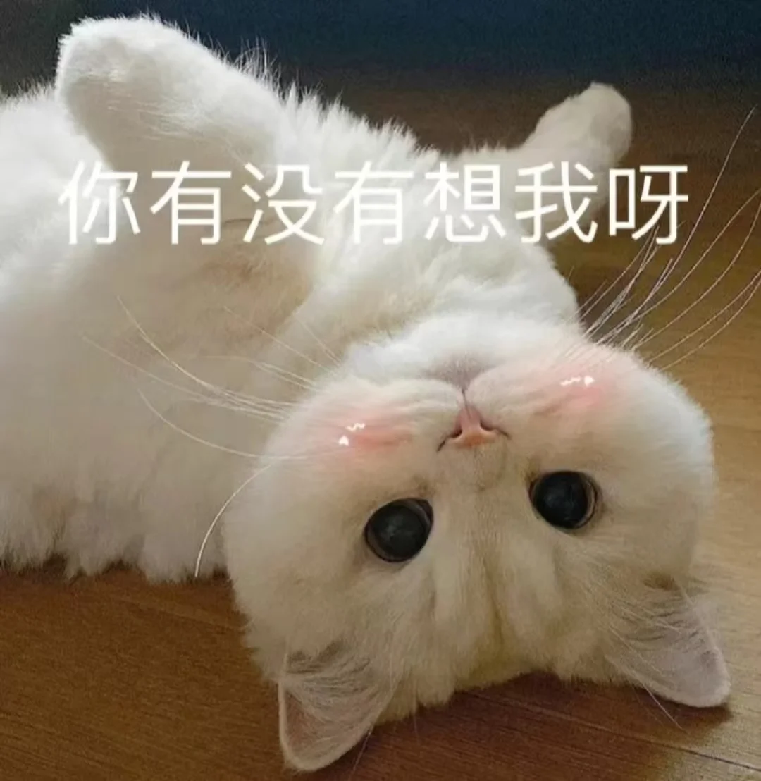 人！ 进来看喵