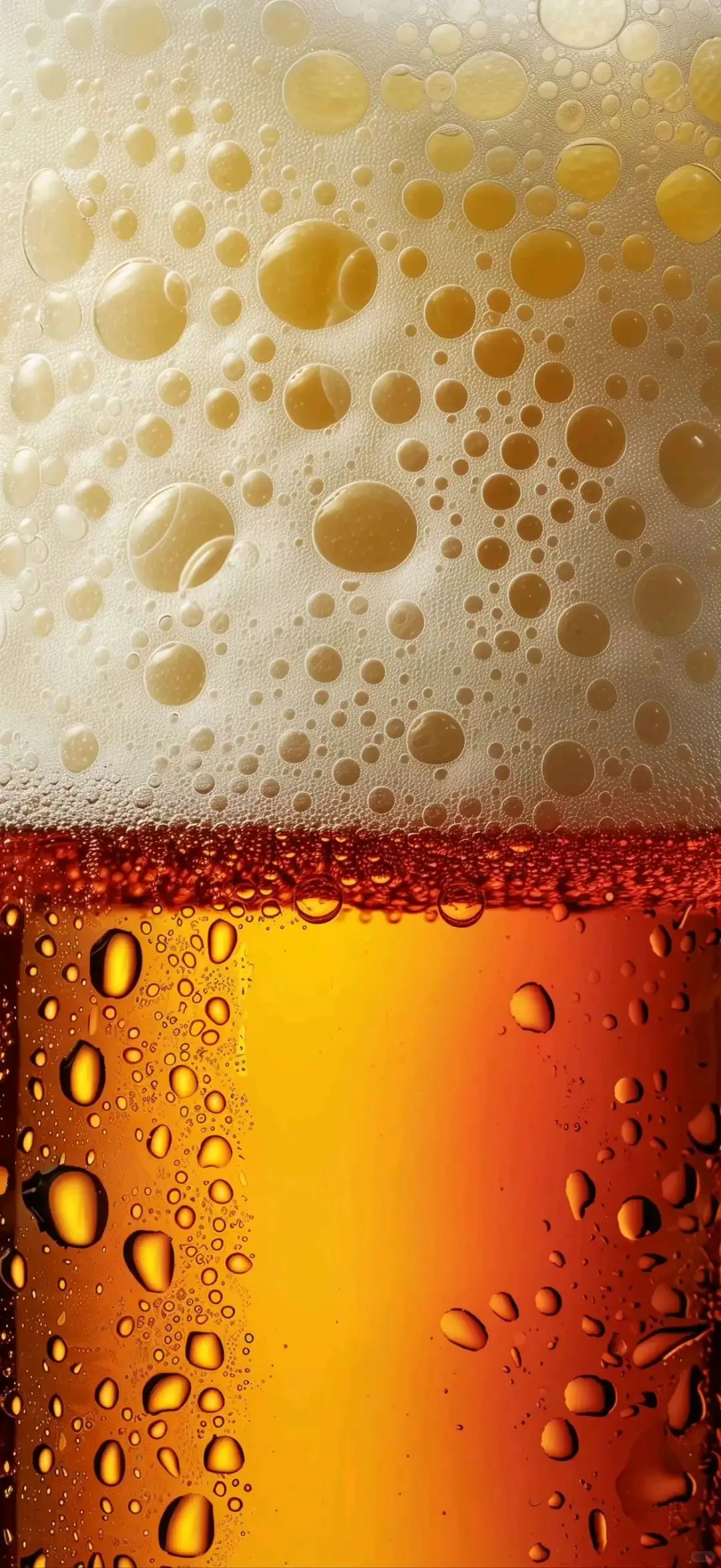 ||壁纸分享||🍺