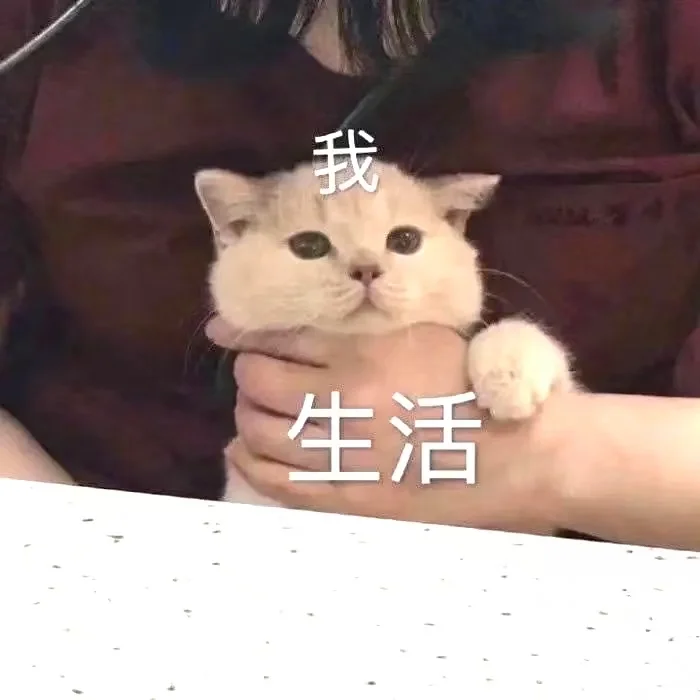 人！ 进来看喵