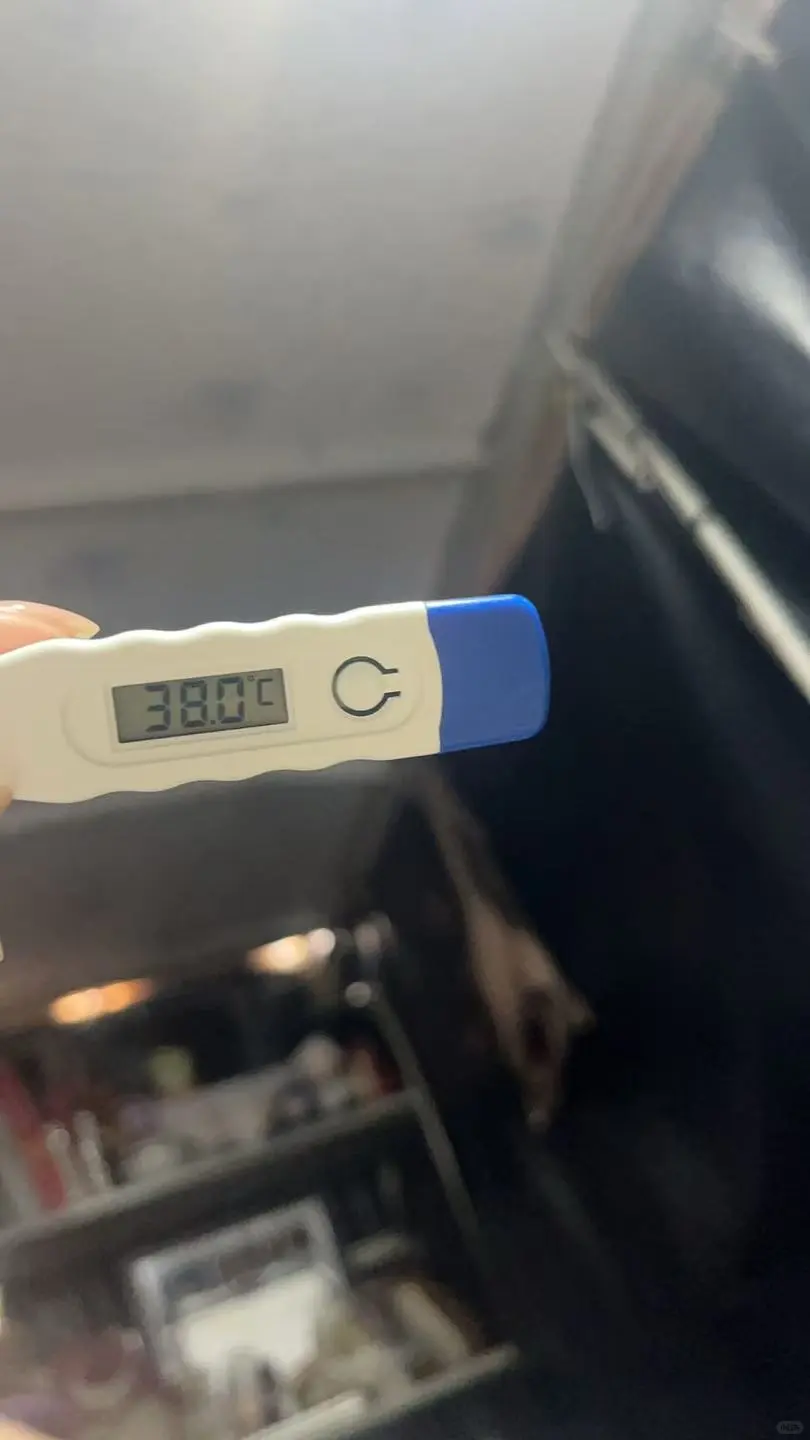 脆皮女大