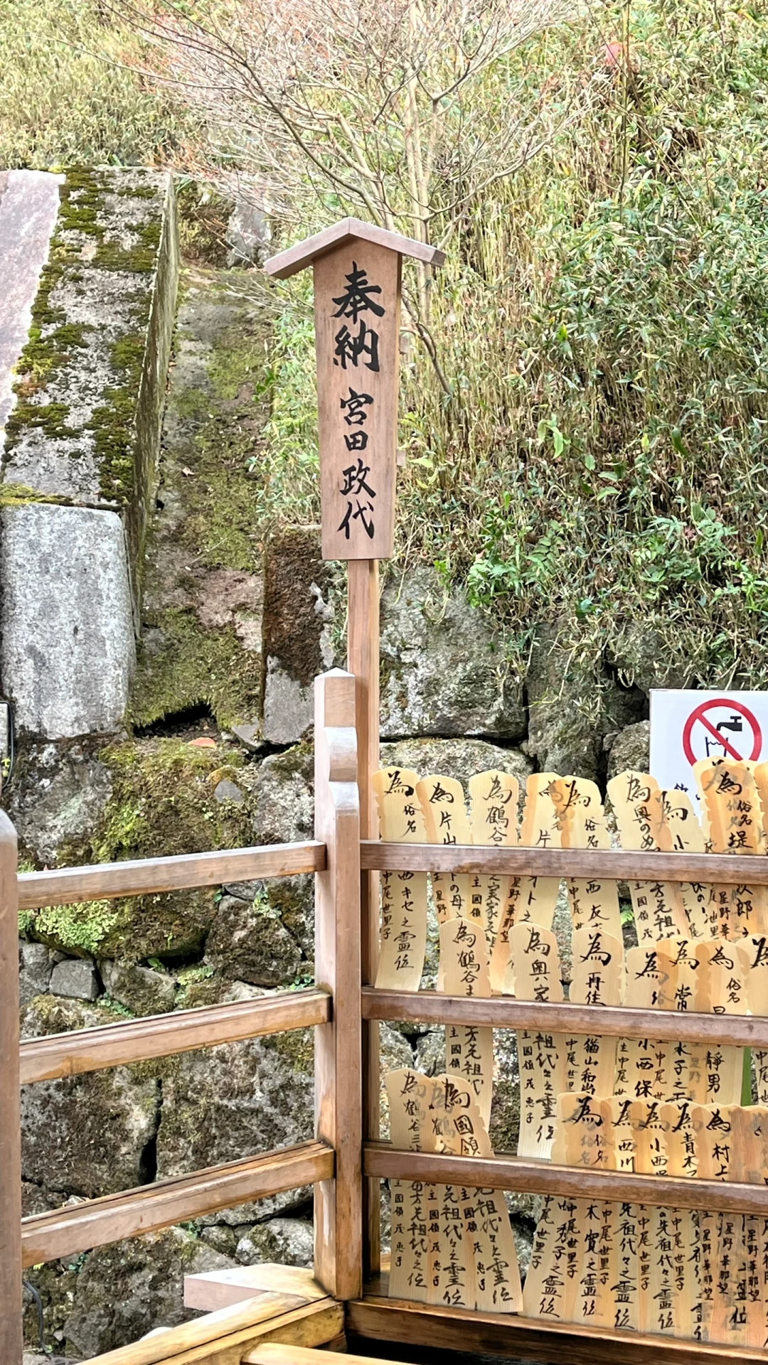 在日本拍下的手机壁纸