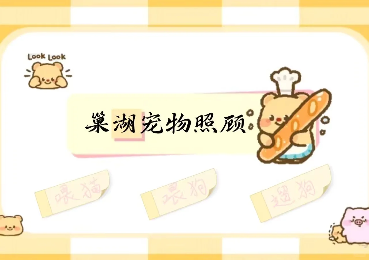 巢湖帮喂宠物喵喵喵