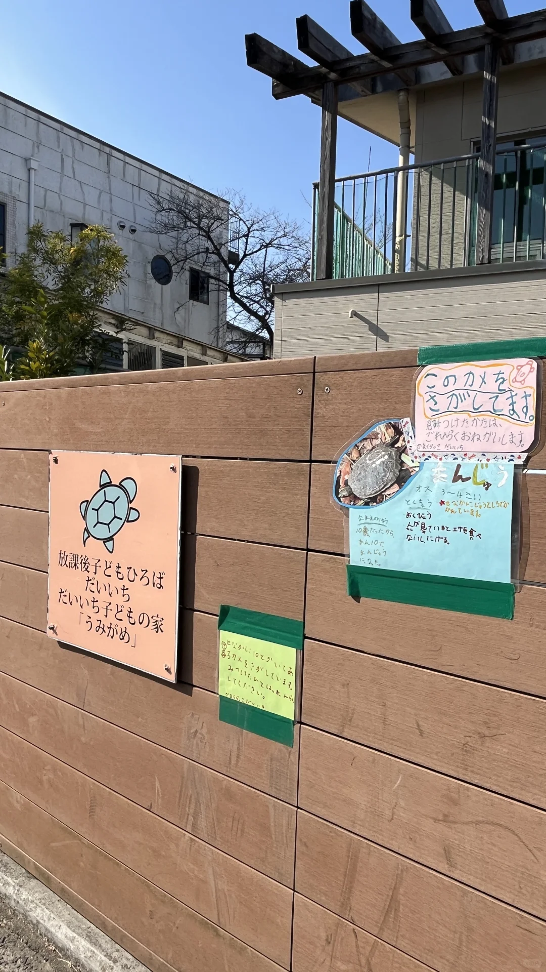 在日本拍下的手机壁纸