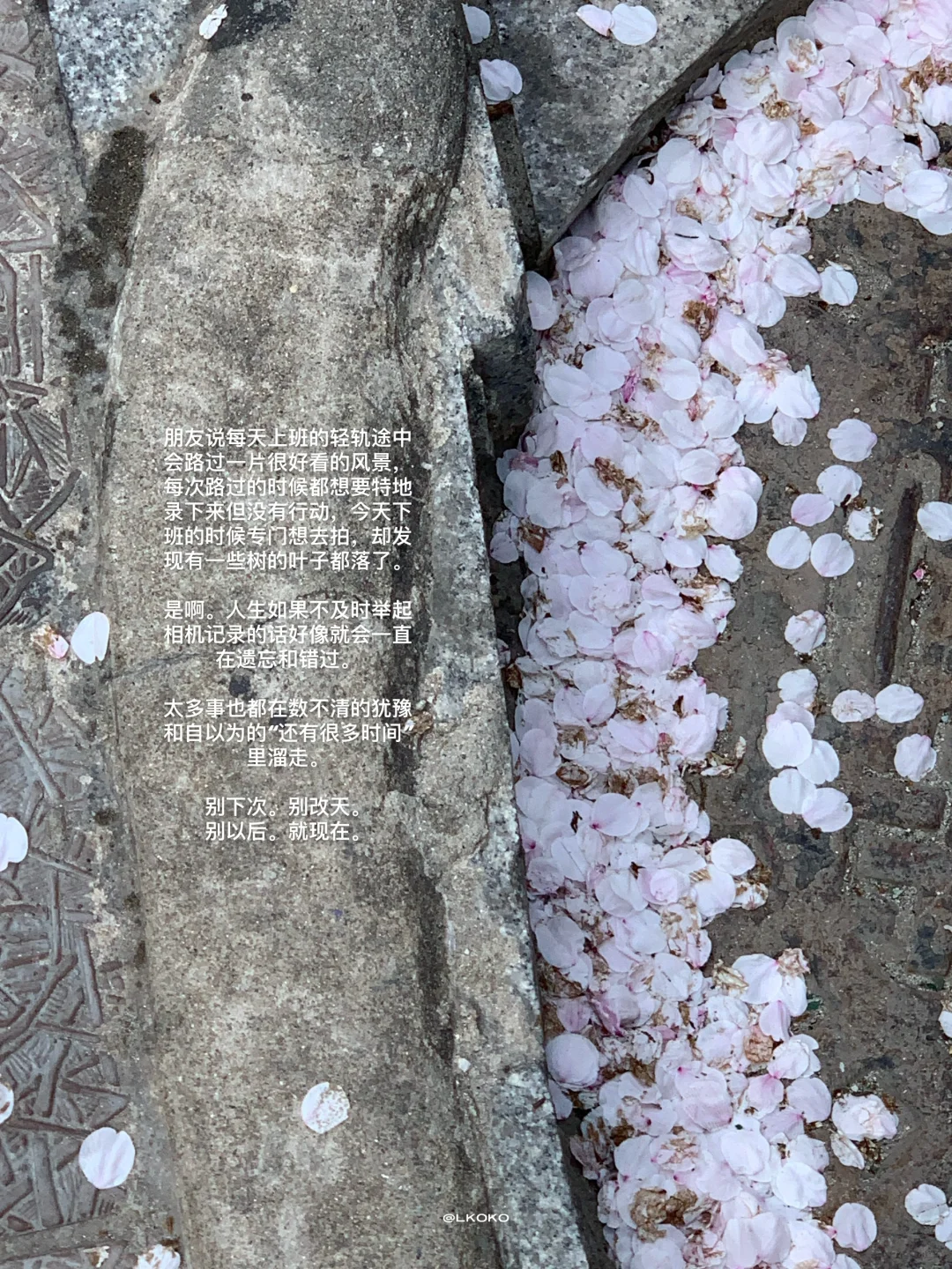“就现在。”
