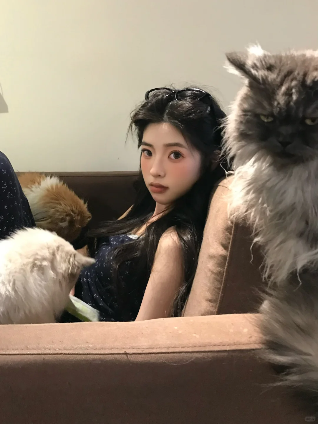 帮我看看哪张最韩最漂亮