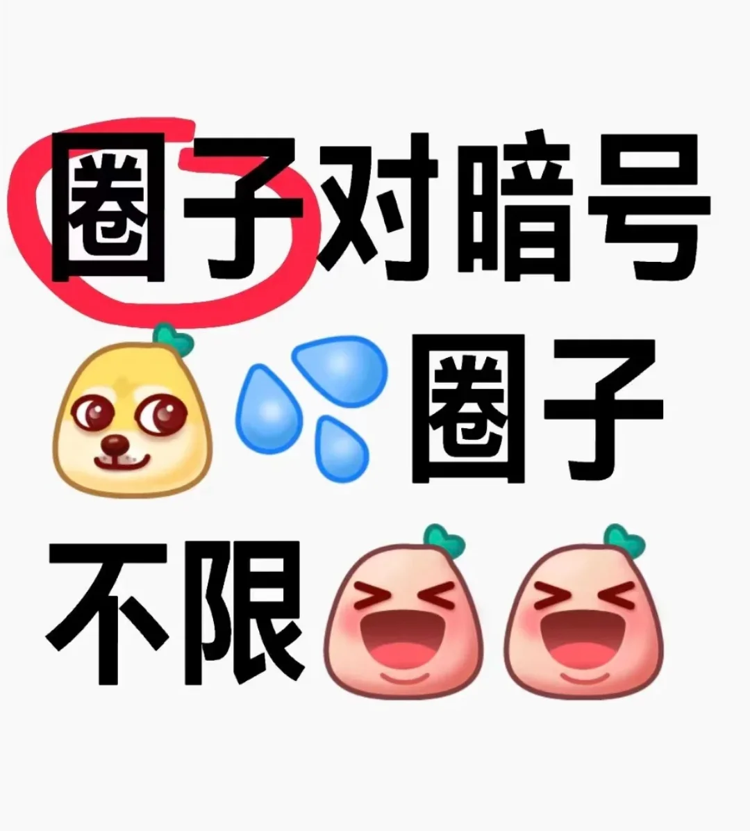 边界对暗号 圈子不限