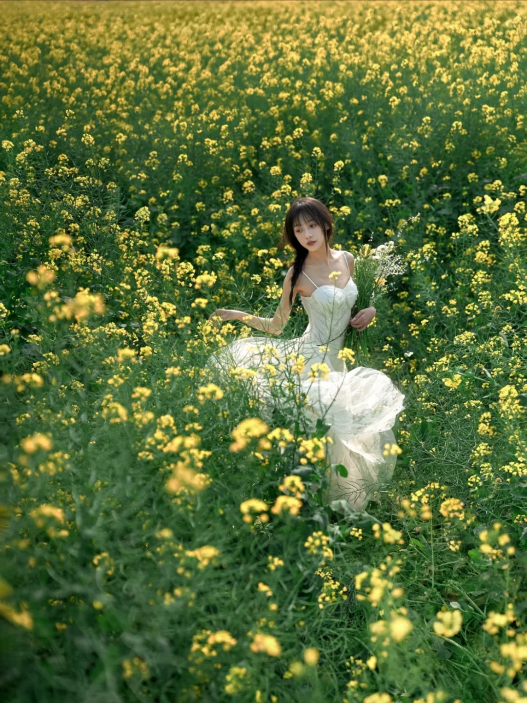 周末有想拍油菜花的吗
