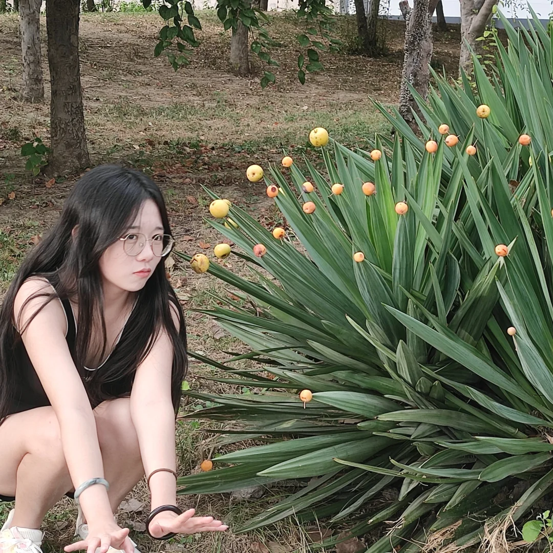学校里真的有很多探索点。。。